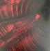Absent In Body – Plague God LP vinyl record, image 4 of 7