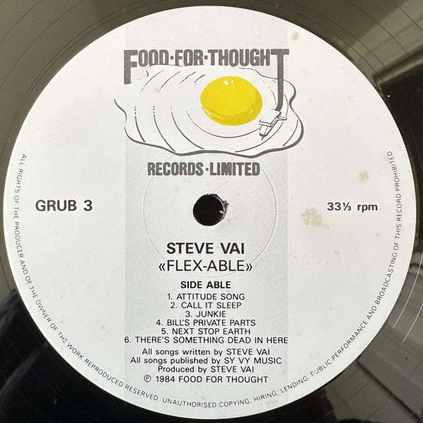 Steve Vai – Flex-Able LP vinyl record, image 4 of 7