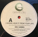 Eric Carmen – I Wanna Hear It From Your Lips 12" vinyl record, image 3 of 4