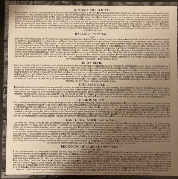 Lou Reed – New York (2xLP) LP vinyl record, image 9 of 10