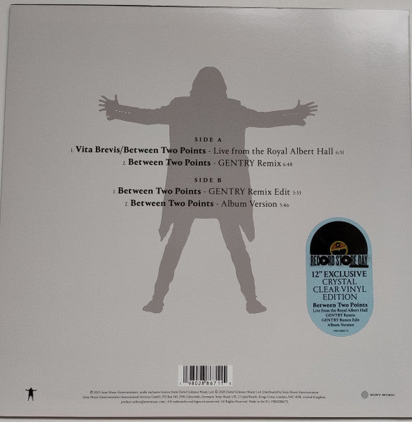 David Gilmour, Romany Gilmour – Between Two Points 12" vinyl record, image 2 of 9