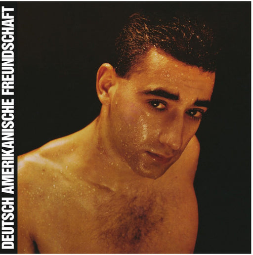 Deutsch Amerikanische Freundschaft – Alles Ist Gut LP vinyl record, image 1 of 6