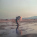 Phoebe Bridgers, Rob Moose – Copycat Killer 12" vinyl record, image 1 of 7