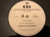 Andreas Vollenweider – Pace Verde 12" vinyl record, image 3 of 4