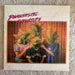 Phantastic Ferniture – Phantastic Ferniture LP vinyl record, image 1 of 5