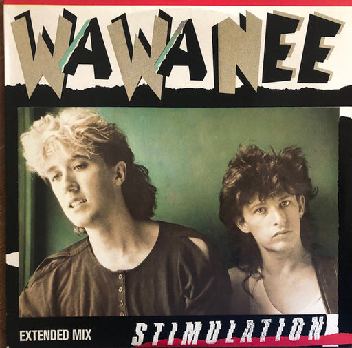 Wa Wa Nee – Stimulation (Extended Mix) 12" vinyl record, image 1 of 6