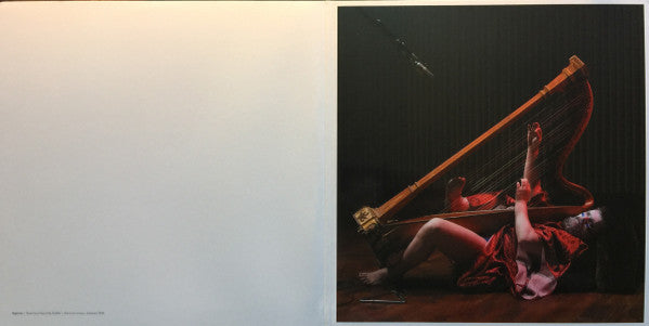 John Grant – Love Is Magic (2xLP) LP vinyl record, image 3 of 10