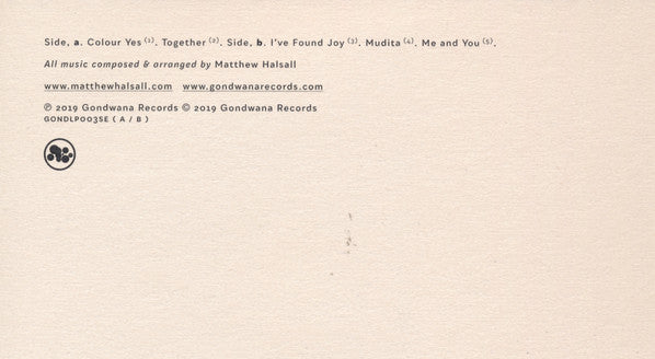 Matthew Halsall – Colour Yes (2xLP) LP vinyl record, image 7 of 8