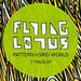 Flying Lotus – Pattern+Grid World 12" vinyl record, image 6 of 7