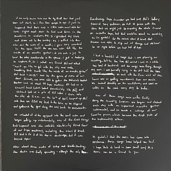 Adrianne Lenker – Songs And Instrumentals (2xLP) LP vinyl record, image 9 of 10