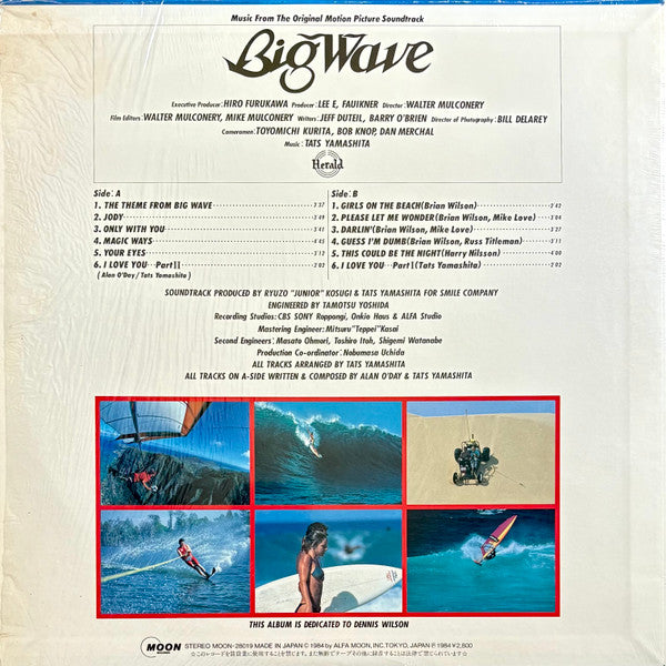 Tatsuro Yamashita – Big Wave LP vinyl record, image 2 of 10