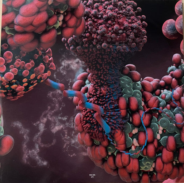 Björk – Fossora (2xLP) LP vinyl record, image 5 of 10