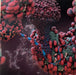 Björk – Fossora (2xLP) LP vinyl record, image 5 of 10
