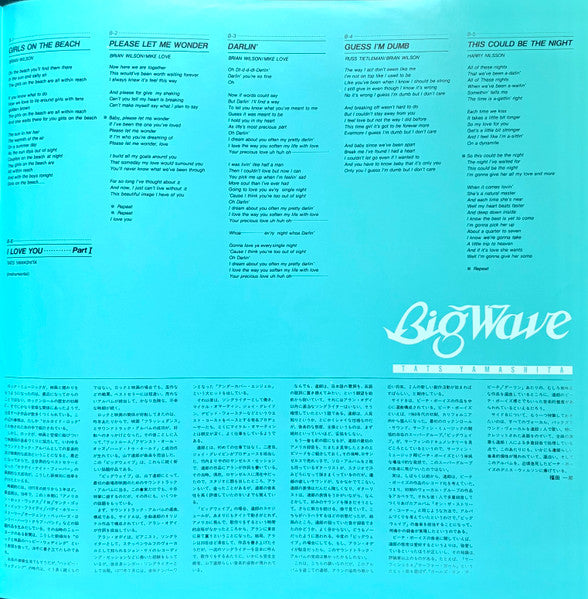 Tatsuro Yamashita – Big Wave LP vinyl record, image 7 of 10