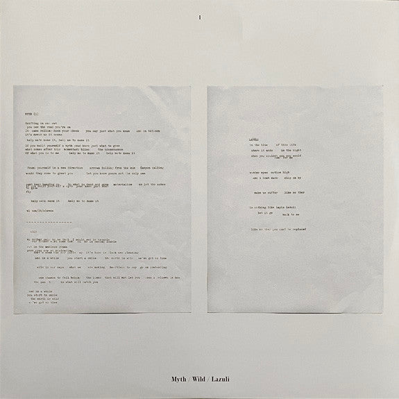 Beach House – Bloom (2xLP) LP vinyl record, image 9 of 10