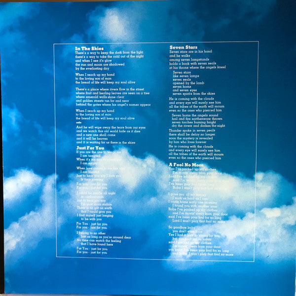 Peter Green – In The Skies LP vinyl record, image 4 of 9
