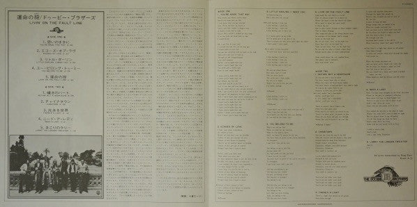 The Doobie Brothers – Livin' On The Fault Line LP vinyl record, image 6 of 6