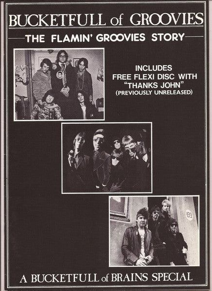 The Flamin' Groovies – Thanks John LP vinyl record, image 1 of 2