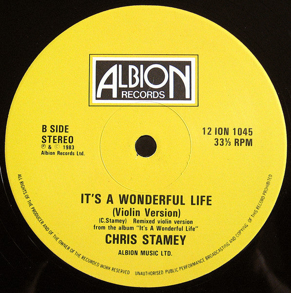 Chris Stamey – Winter Of Love 12" vinyl record, image 4 of 4