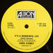 Chris Stamey – Winter Of Love 12" vinyl record, image 4 of 4