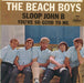 The Beach Boys – Sloop John B / You're So Good To Me 7" vinyl record, image 1 of 4