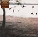 The Tallest Man On Earth – There's No Leaving Now LP vinyl record, image 1 of 5