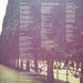 Tame Impala – Lonerism (2xLP) LP vinyl record, image 3 of 10