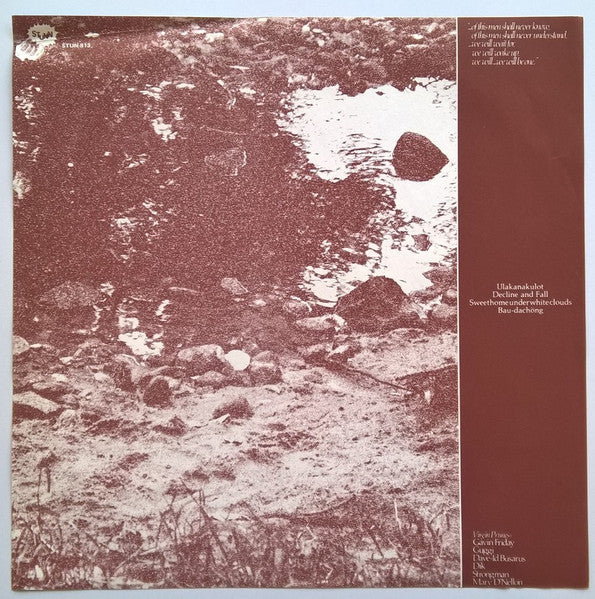 Virgin Prunes – ...If I Die, I Die LP vinyl record, image 7 of 8