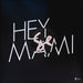 Sylvan Esso – Hey Mami 12" vinyl record, image 1 of 3