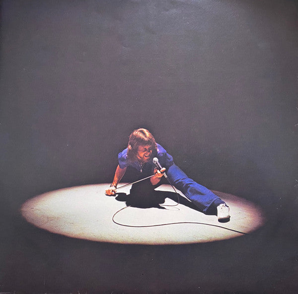 Daryl Braithwaite – ...Best Of LP vinyl record, image 6 of 6