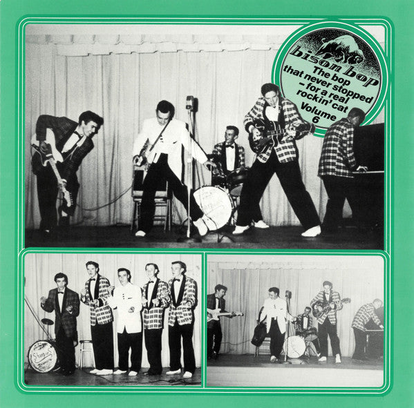 Various – Bison Bop: The Bop That Never Stopped - For A Real Rockin' Cat Volume 6 LP vinyl record, image 1 of 4