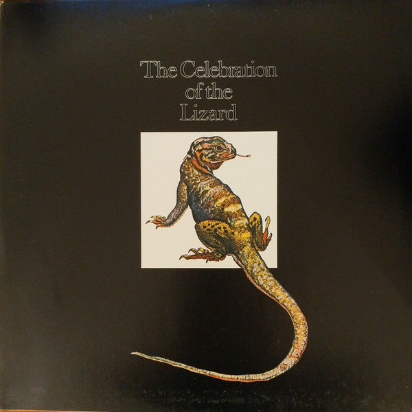 The Doors – Waiting For The Sun LP vinyl record, image 3 of 7