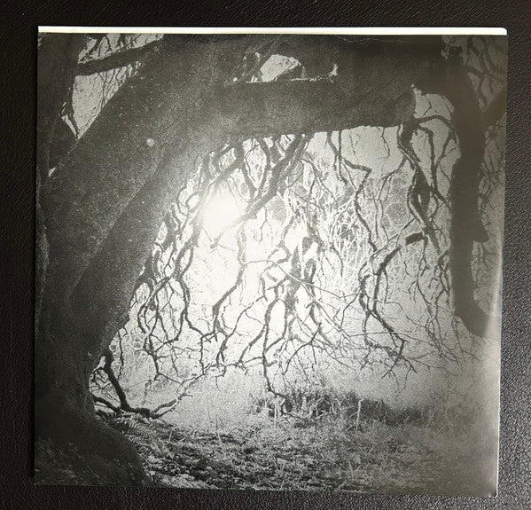 Golden Void – Golden Void LP vinyl record, image 3 of 5