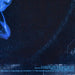 Dire Straits – Love Over Gold LP vinyl record, image 10 of 10