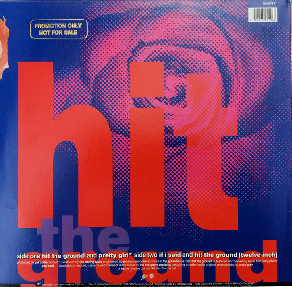 The Darling Buds – Hit The Ground 12" vinyl record, image 2 of 4