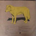 The Dingoes – The Dingoes LP vinyl record, image 5 of 5