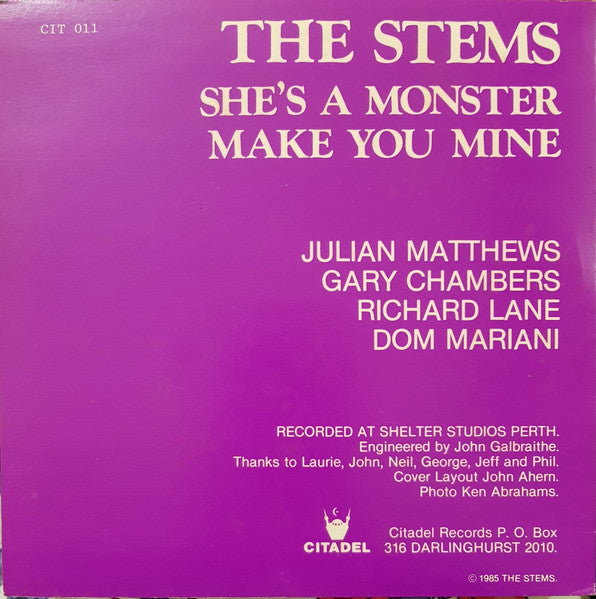 The Stems – She's A Monster / Make You Mine 7" vinyl record, image 2 of 4