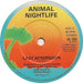 Animal Nightlife – Mr Solitaire 7" vinyl record, image 4 of 4