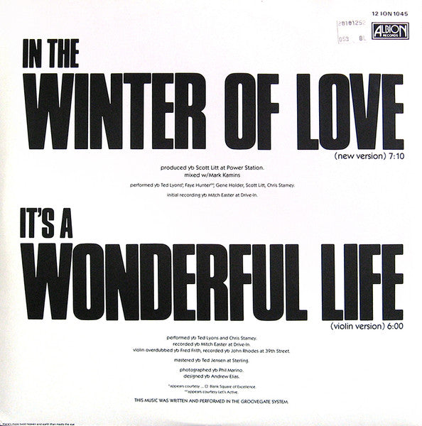 Chris Stamey – Winter Of Love 12" vinyl record, image 2 of 4