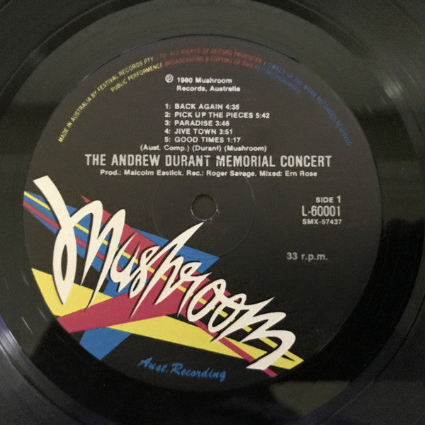 Various – The Andrew Durant Memorial Concert (2xLP) LP vinyl record, image 9 of 10