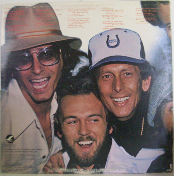 Dion – Return Of The Wanderer LP vinyl record, image 2 of 4