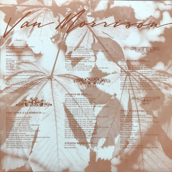 Van Morrison – A Sense Of Wonder LP vinyl record, image 3 of 6