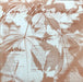 Van Morrison – A Sense Of Wonder LP vinyl record, image 3 of 6