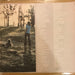 Matt Taylor – Straight As A Die LP vinyl record, image 4 of 6