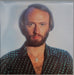 Bee Gees – Bee Gees Greatest (2xLP) LP vinyl record, image 6 of 10