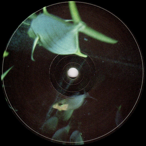 Udmo – Open Water 12" vinyl record, image 2 of 2