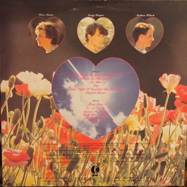 The Reels – Beautiful LP vinyl record, image 4 of 4
