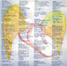 The Sports – Sondra LP vinyl record, image 6 of 6