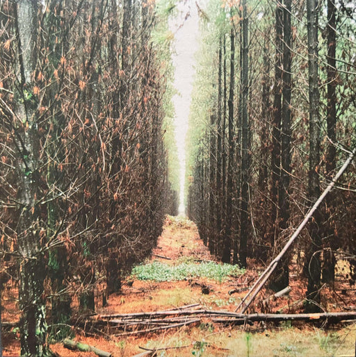 Apart From This – In Gloom LP vinyl record, image 1 of 3