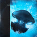 The Chills – Submarine Bells LP vinyl record, image 1 of 4